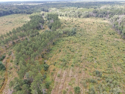 80-acre parcel in the Town of Big Flats - image 26