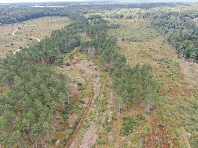 80-acre parcel in the Town of Big Flats - image 4