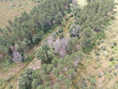 80-acre parcel in the Town of Big Flats - image 6