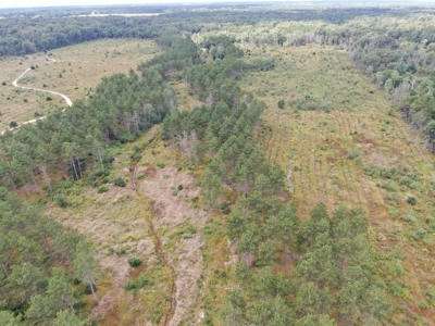 80-acre parcel in the Town of Big Flats - image 24