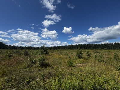 80-acre parcel in the Town of Big Flats - image 20