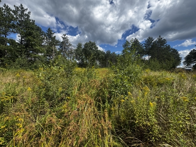 80-acre parcel in the Town of Big Flats - image 15