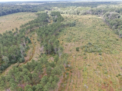 80-acre parcel in the Town of Big Flats - image 25