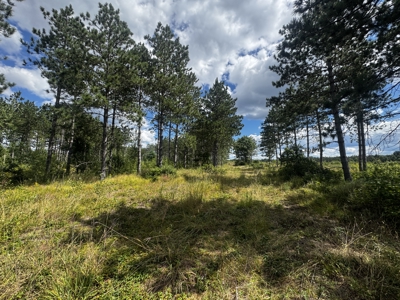 80-acre parcel in the Town of Big Flats - image 18