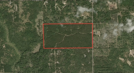 80-acre parcel in the Town of Big Flats - image 2