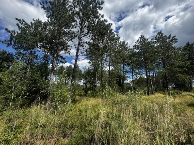 80-acre parcel in the Town of Big Flats - image 13
