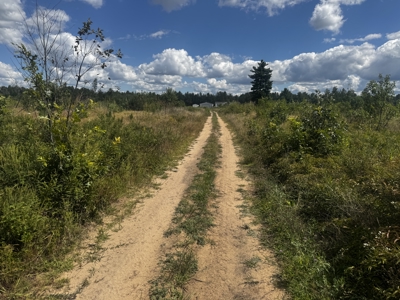 80-acre parcel in the Town of Big Flats - image 10