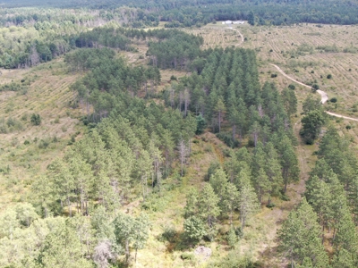 80-acre parcel in the Town of Big Flats - image 8