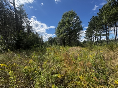 80-acre parcel in the Town of Big Flats - image 16
