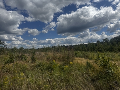 80-acre parcel in the Town of Big Flats - image 19