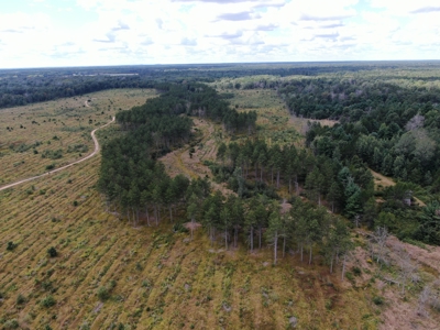 80-acre parcel in the Town of Big Flats - image 3