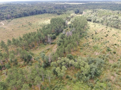 80-acre parcel in the Town of Big Flats - image 5