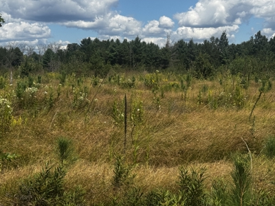 80-acre parcel in the Town of Big Flats - image 11
