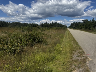 80-acre parcel in the Town of Big Flats - image 21