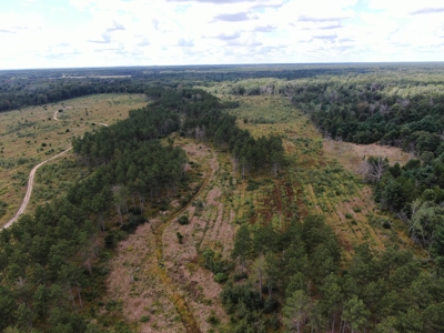 80-acre parcel in the Town of Big Flats - image 23