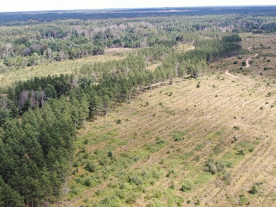 80-acre parcel in the Town of Big Flats - image 9