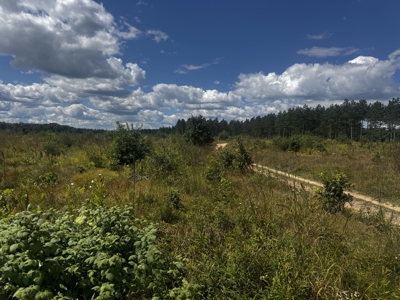 80-acre parcel in the Town of Big Flats - image 31