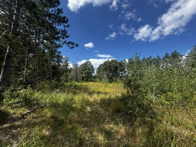 80-acre parcel in the Town of Big Flats - image 14