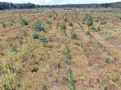 80-acre parcel in the Town of Big Flats - image 28
