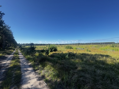 40-acre parcel in the Town of Rome, Adams County - image 11