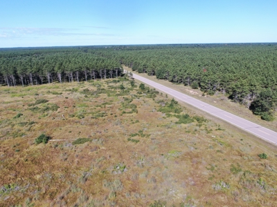 40-acre parcel in the Town of Rome, Adams County - image 5