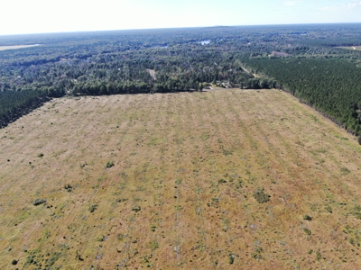 40-acre parcel in the Town of Rome, Adams County - image 9