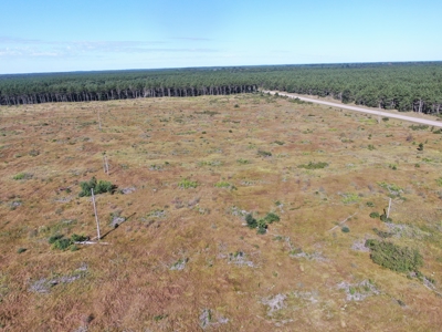 40-acre parcel in the Town of Rome, Adams County - image 3