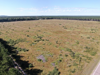 40-acre parcel in the Town of Rome, Adams County - image 1
