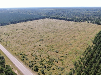 40-acre parcel in the Town of Rome, Adams County - image 7