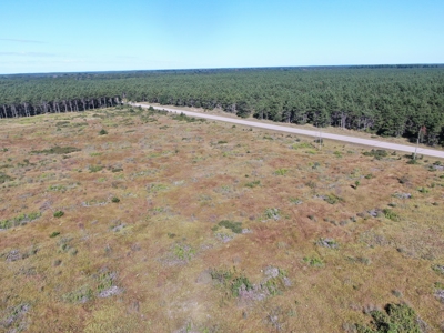 40-acre parcel in the Town of Rome, Adams County - image 4
