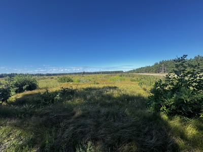 40-acre parcel in the Town of Rome, Adams County - image 10