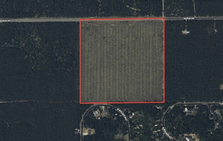 40-acre parcel in the Town of Rome, Adams County - image 2