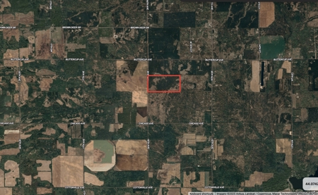 80-acre timber tract in Adams County - image 19