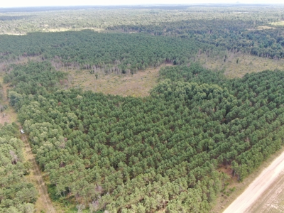 80-acre timber tract in Adams County - image 13