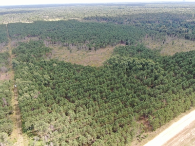 80-acre timber tract in Adams County - image 1