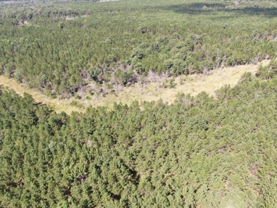 80-acre timber tract in the Town of Big Flats - image 10