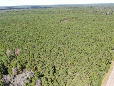 80-acre timber tract in the Town of Big Flats - image 27
