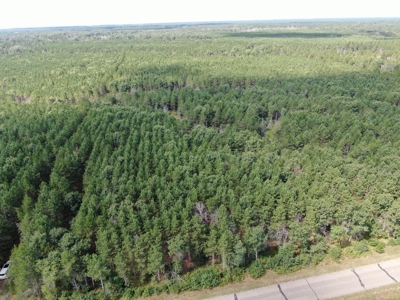 80-acre timber tract in the Town of Big Flats - image 3