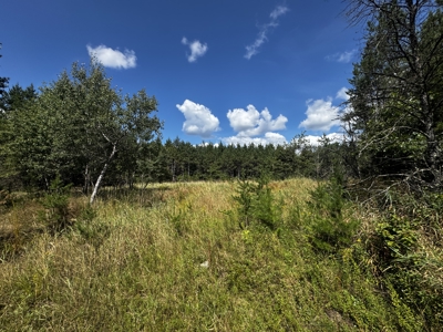 80-acre timber tract in the Town of Big Flats - image 18