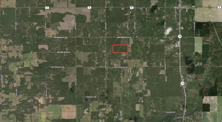 80-acre timber tract in the Town of Big Flats - image 32