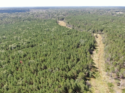 80-acre timber tract in the Town of Big Flats - image 12