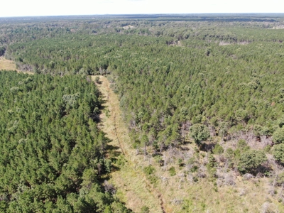 80-acre timber tract in the Town of Big Flats - image 11