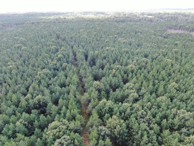 80-acre timber tract in the Town of Big Flats - image 28