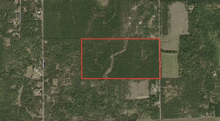 80-acre timber tract in the Town of Big Flats - image 2