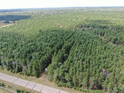80-acre timber tract in the Town of Big Flats - image 1