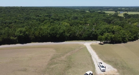 21.5 Acres for Sale in Bells, Texas - image 3