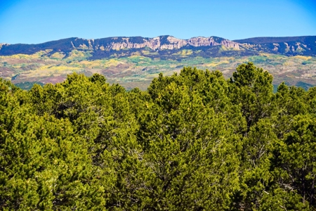 3 Bedroom Mountain Home for Sale in Ridgway, Colorado - image 33