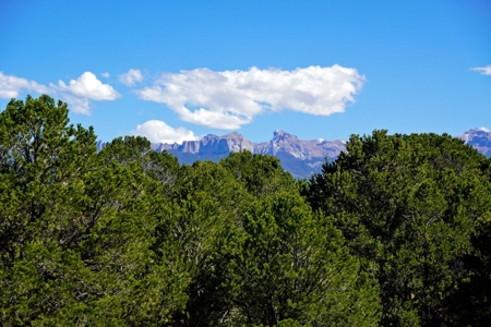 3 Bedroom Mountain Home for Sale in Ridgway, Colorado - image 29