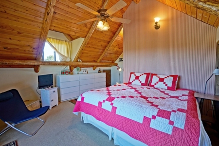 3 Bedroom Mountain Home for Sale in Ridgway, Colorado - image 21