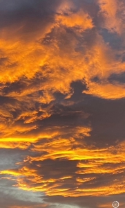 3 Bedroom Mountain Home for Sale in Ridgway, Colorado - image 35